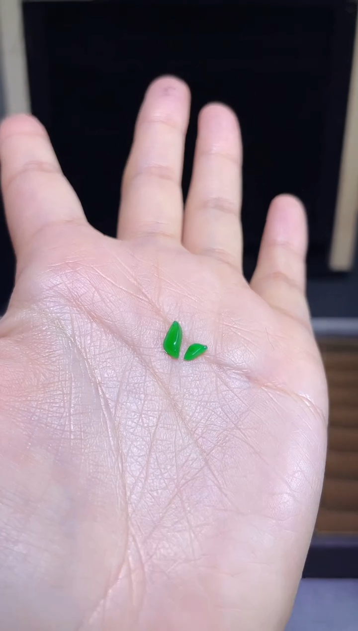 【闪购商品】翡翠颈饰未镶嵌满绿随行两个