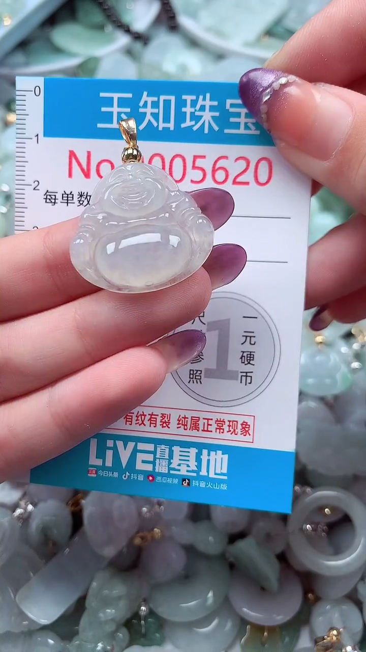 翡翠未镶嵌吊坠(不含链)5620