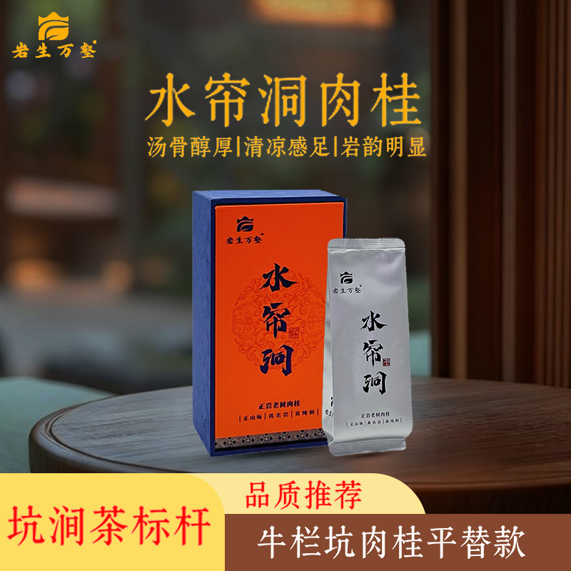 岩生万壑 [ 水帘洞肉桂 ] 武夷岩茶大红袍高级茶叶肉桂岩茶乌龙茶