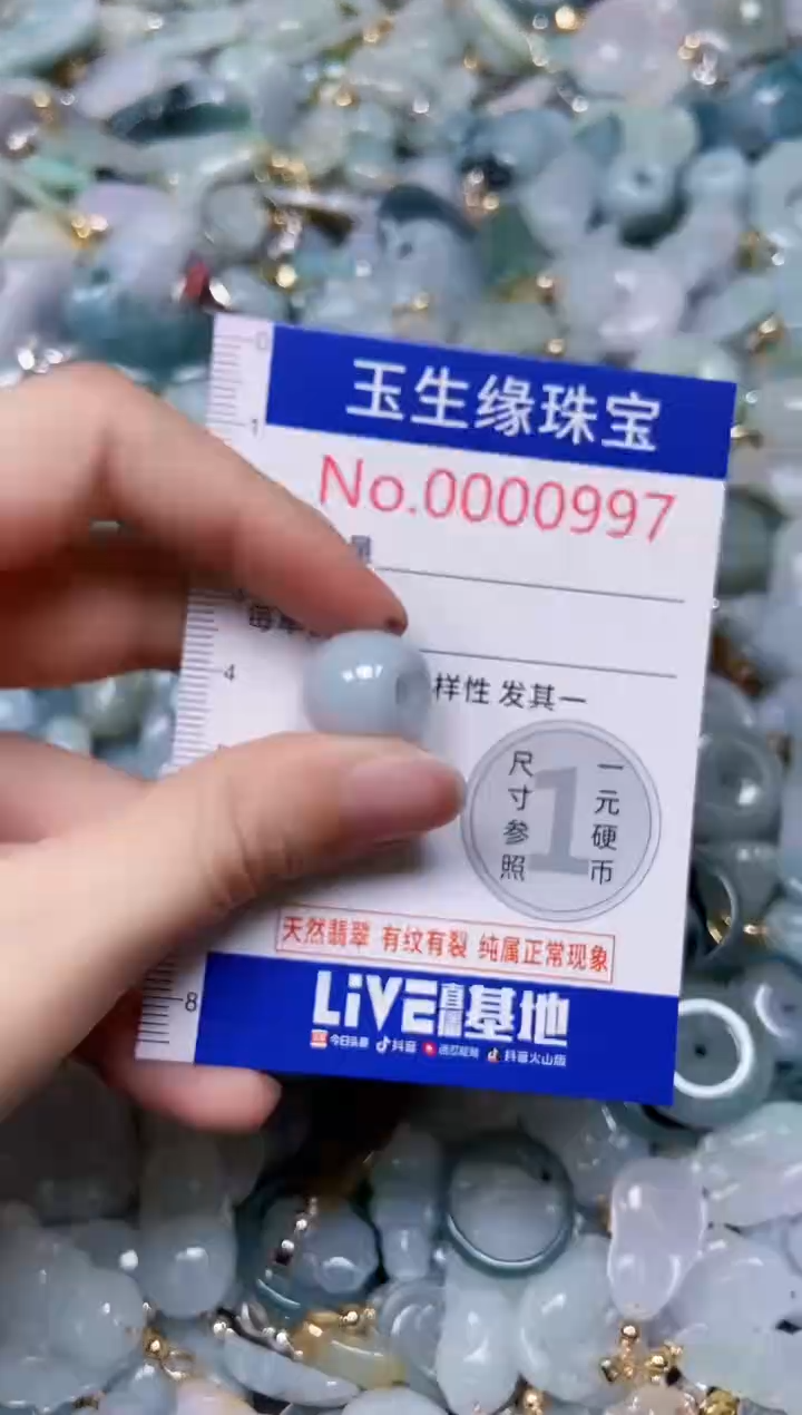 【闪购商品】翡翠颈饰未镶嵌闪购0000997