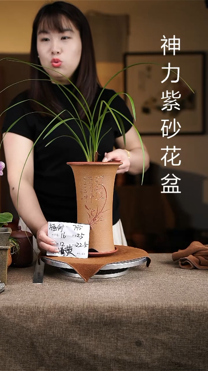 紫砂花盆紫砂花盆795+z粉黄