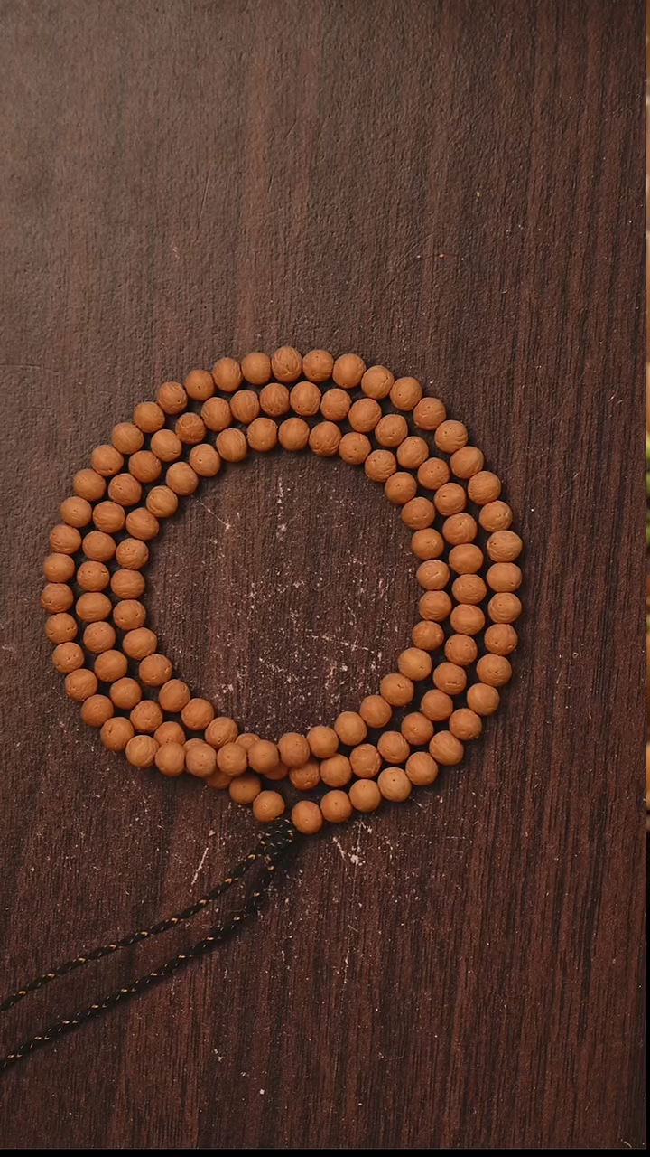 吊坠凤眼菩提S02酸枣核108