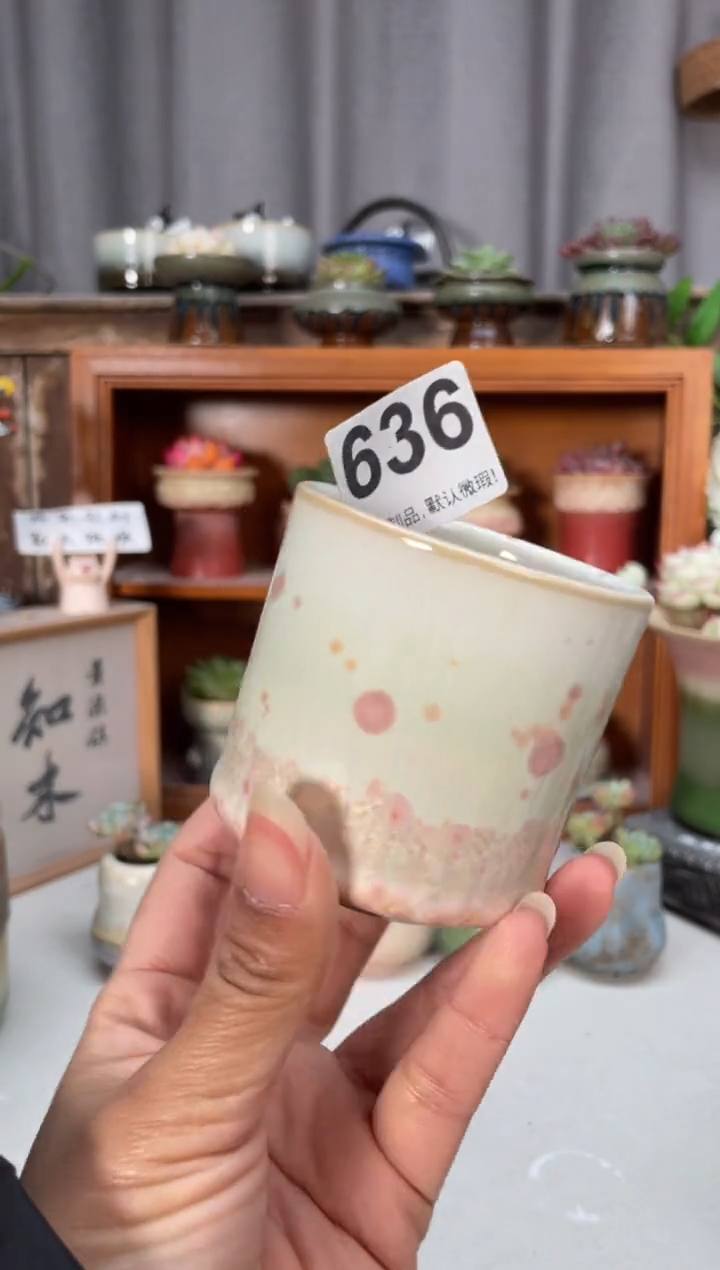 瓷片636小芳直播编号