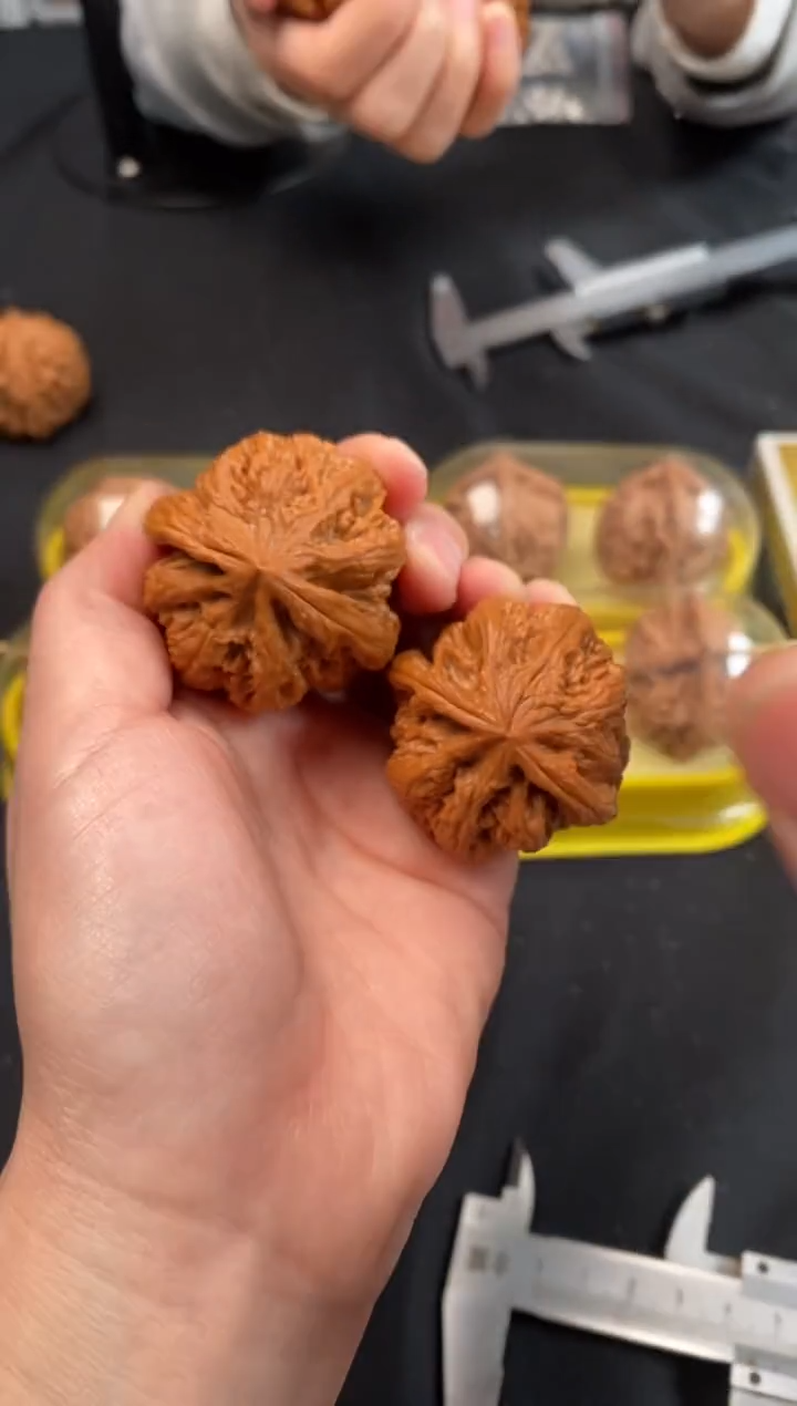 把件文玩核桃大粗筋40尺Z089