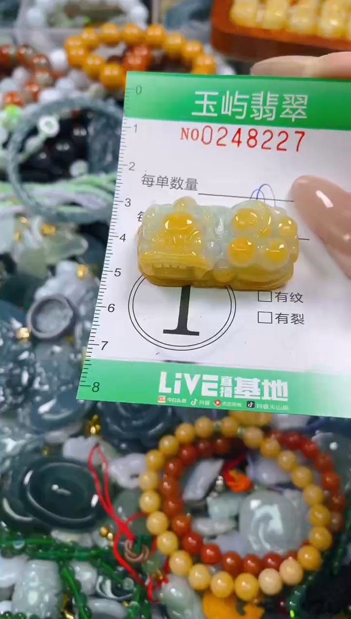 颈饰未镶嵌翡翠闪购0248227