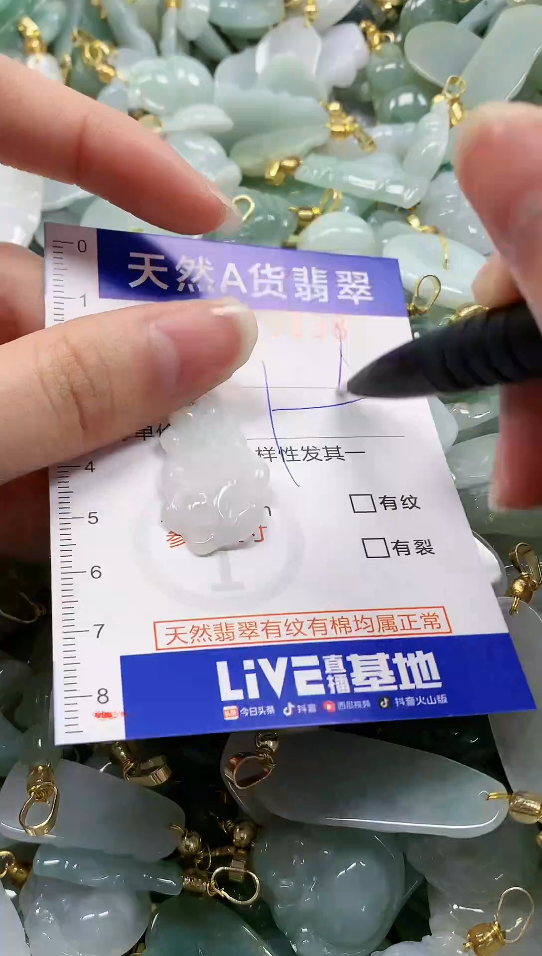 颈饰未镶嵌翡翠纯天然a货翡翠