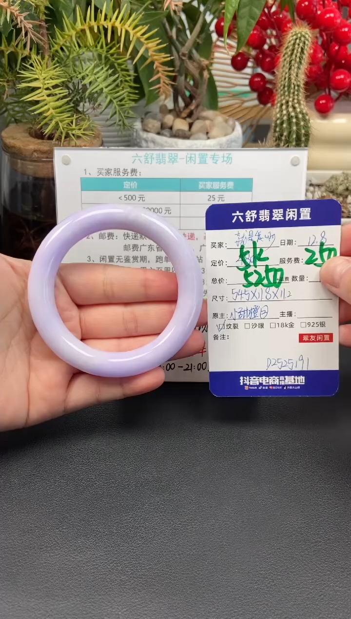 未镶嵌手镯翡翠就****包D2525191