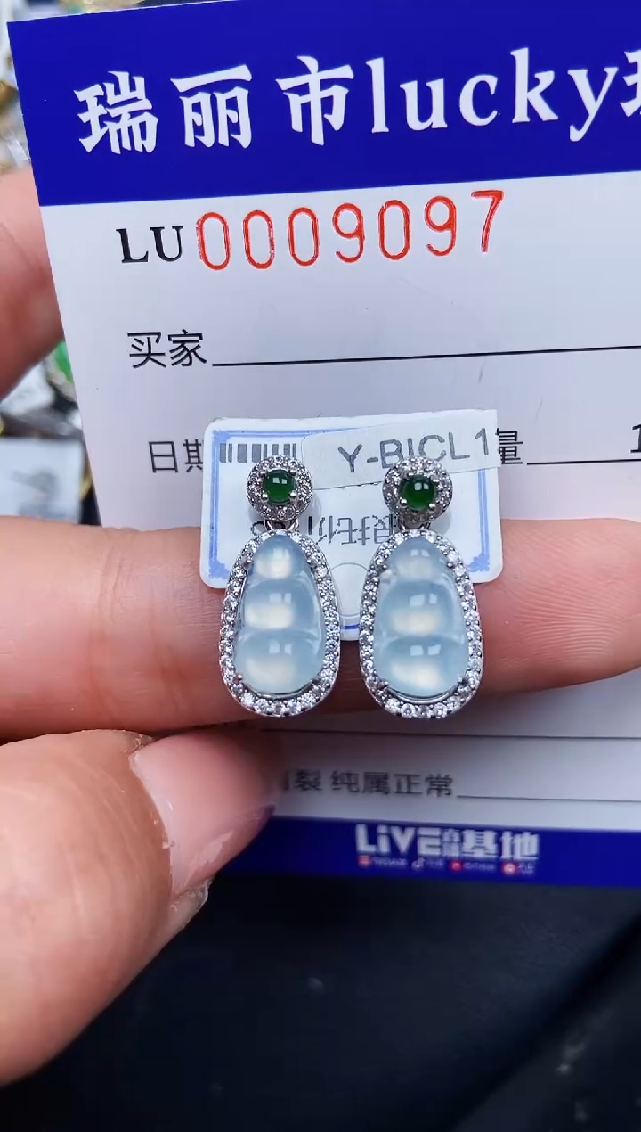 【闪购商品】翡翠颈饰银S925镶嵌9097