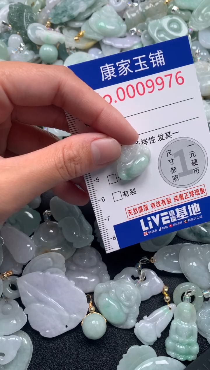 颈饰未镶嵌翡翠9976