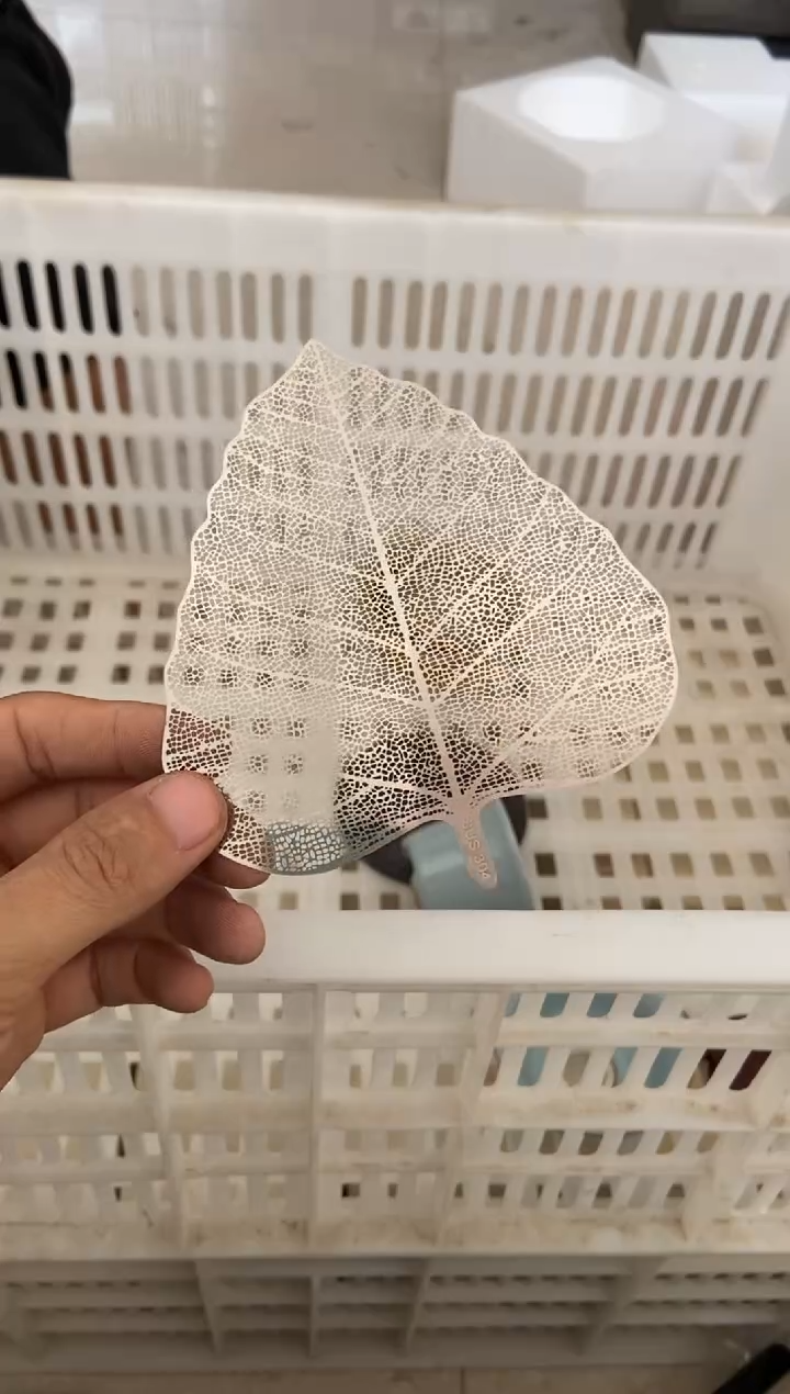 无运费险有瑕疵的摄影的产品有使用过的痕迹有点脏介意勿拍