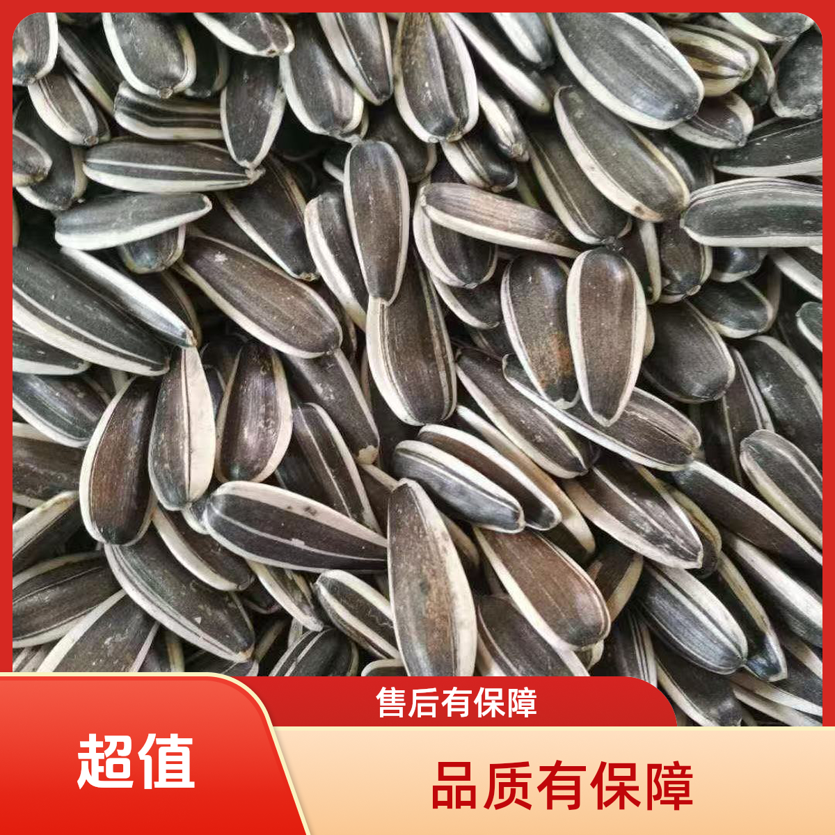 发2斤新货熟瓜子新鲜葵花籽原味瓜子大颗粒炒货零食香瓜子