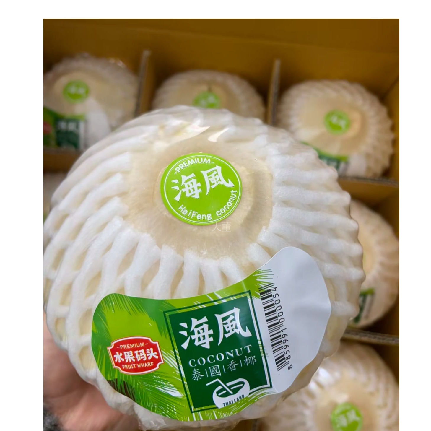【大董】海风香水椰青 4枚/份