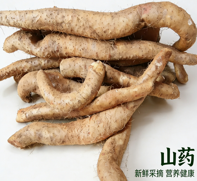 正宗野生山药丨伏牛山深山现挖丨新鲜采挖软糯香甜丨断果