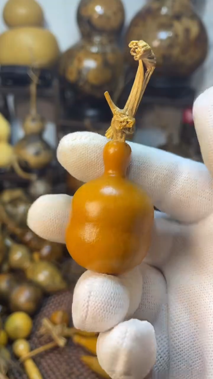 【闪购商品】葫芦葫芦葫芦葫芦