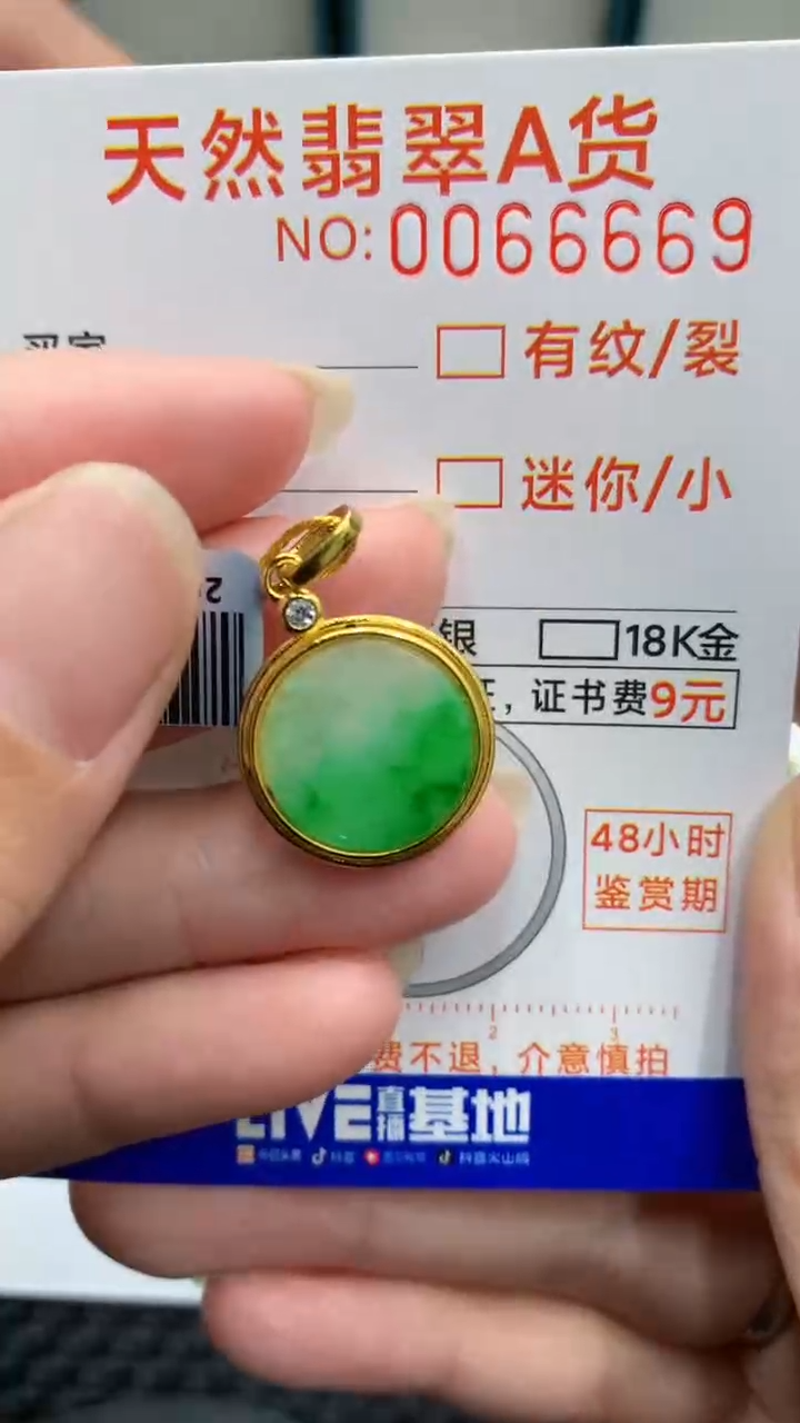 【闪购商品】翡翠颈饰银S925镶嵌            8