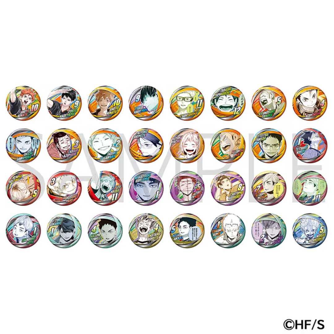 【拆盒】排球少年 fanpark系列吧唧拍立得钥匙扣 徽章盲盒 直播代拆