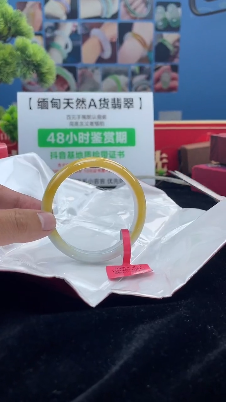 【闪购商品】翡翠手镯未镶嵌手镯1