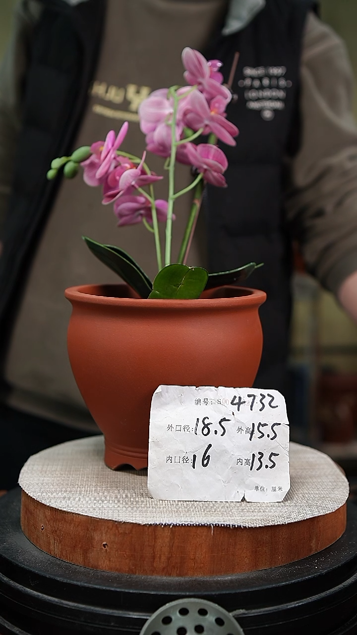 【闪购商品】紫砂花盆紫砂花盆4732