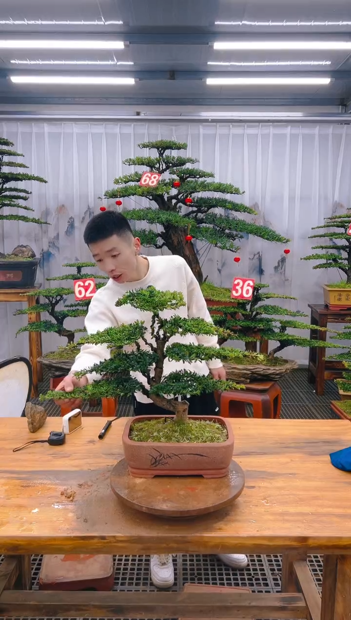 【闪购商品】紫砂精品盆景直播间一物一拍