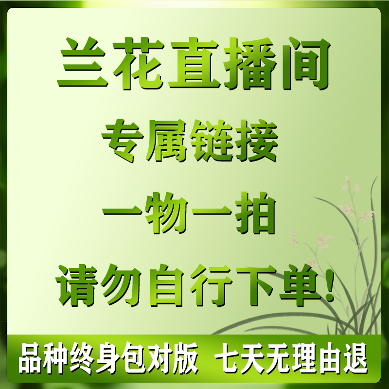 兰花专用直播中高端兰花专属链接