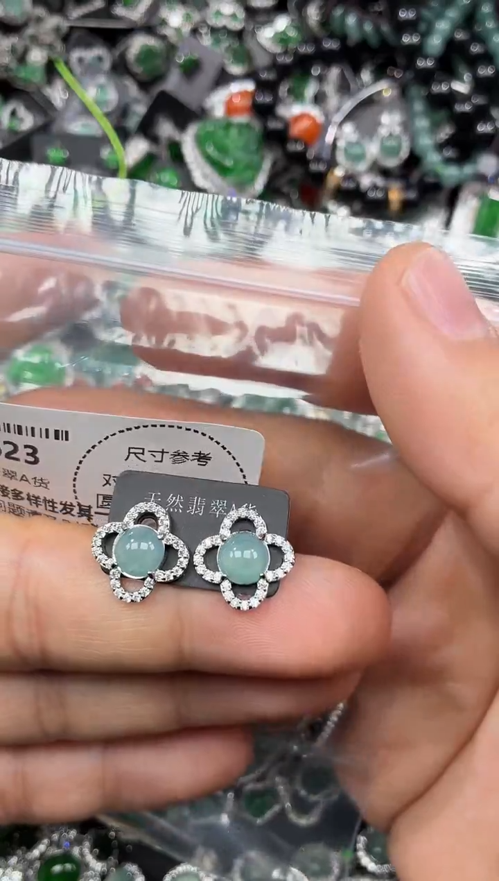颈饰未镶嵌翡翠F623耳钉