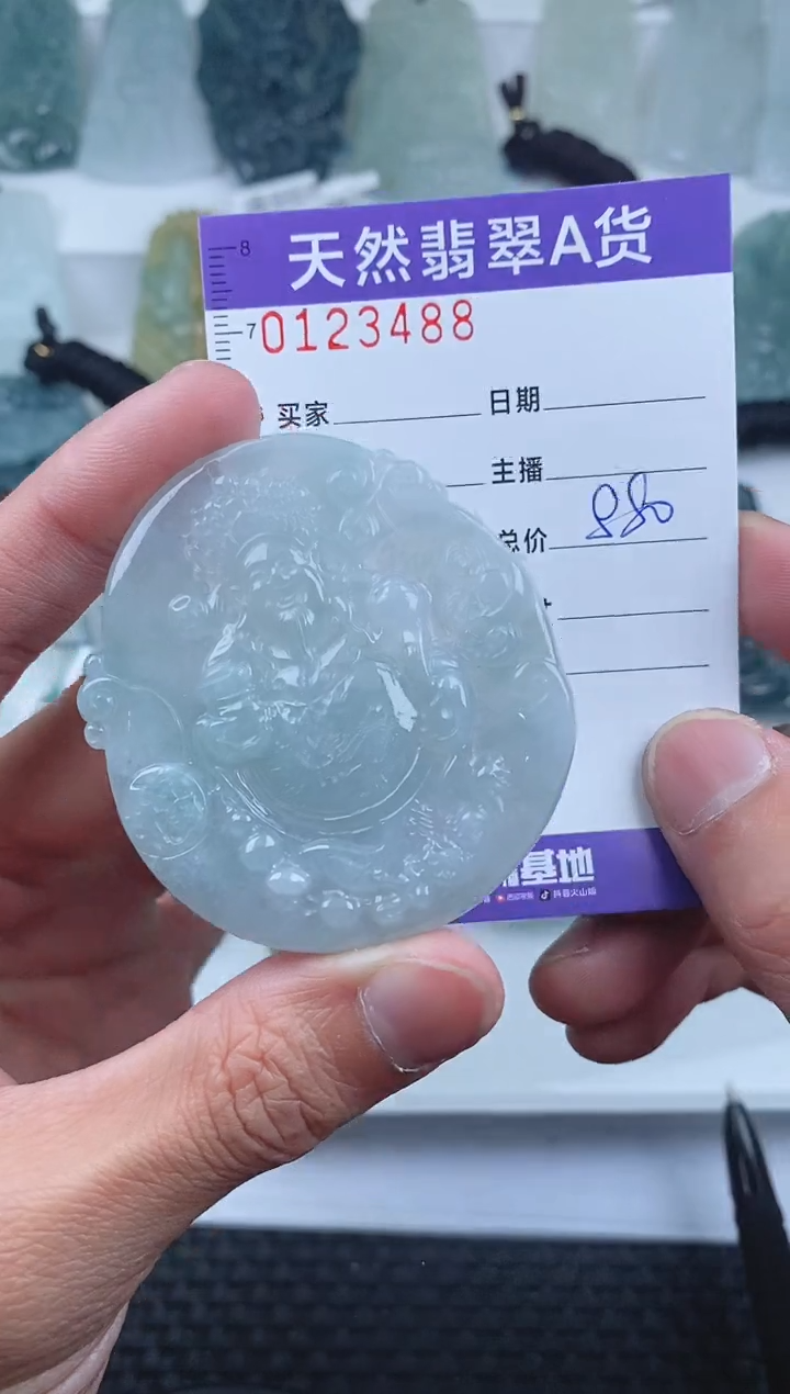 【闪购商品】翡翠颈饰未镶嵌        488