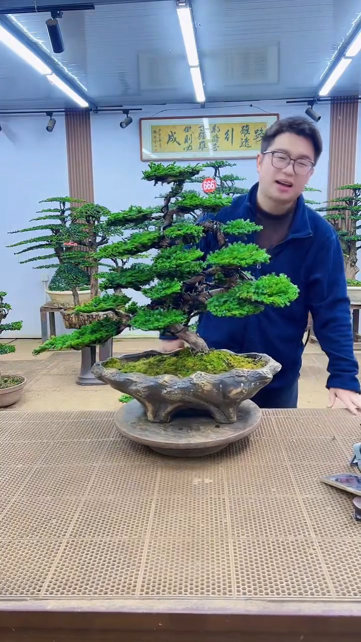 无花朵000000000000000