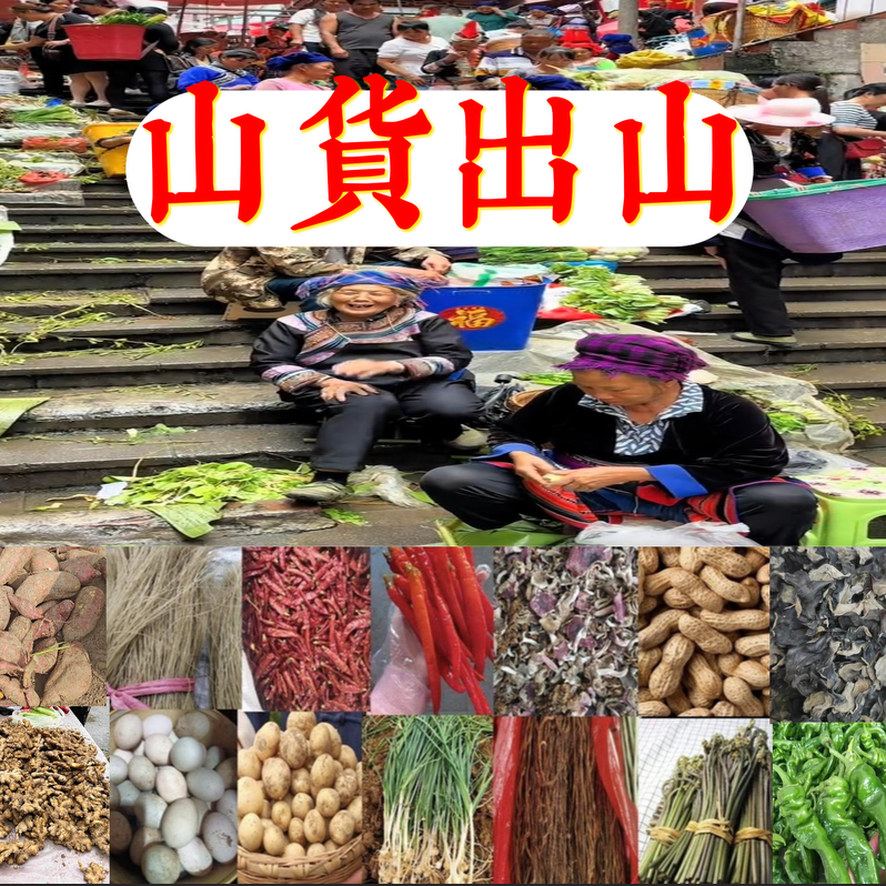 【表妹专属】现场直播收山货土货农产品老乡自产自销