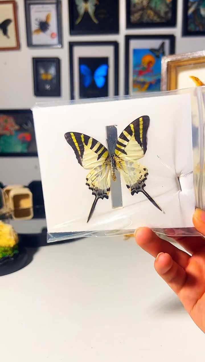 有机玻璃5464866819