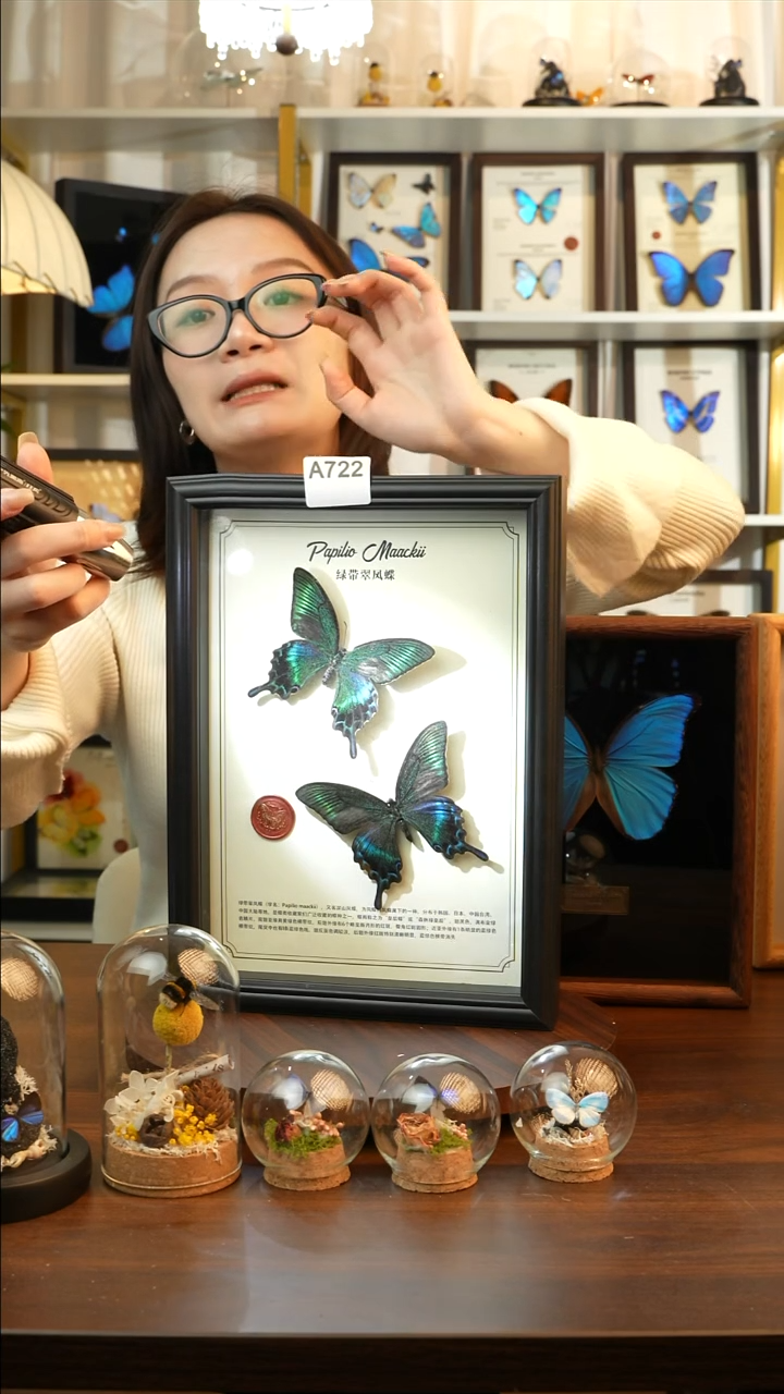 绿带翠凤蝶春+夏款双蝶（A4黑框）A722