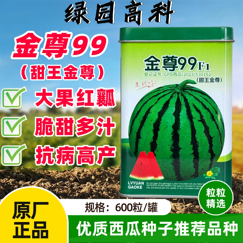 金尊99甜王金尊一代杂交西瓜种子大果红瓤薄皮脆甜多汁抗病高产