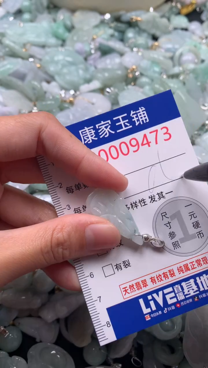 颈饰未镶嵌翡翠9473