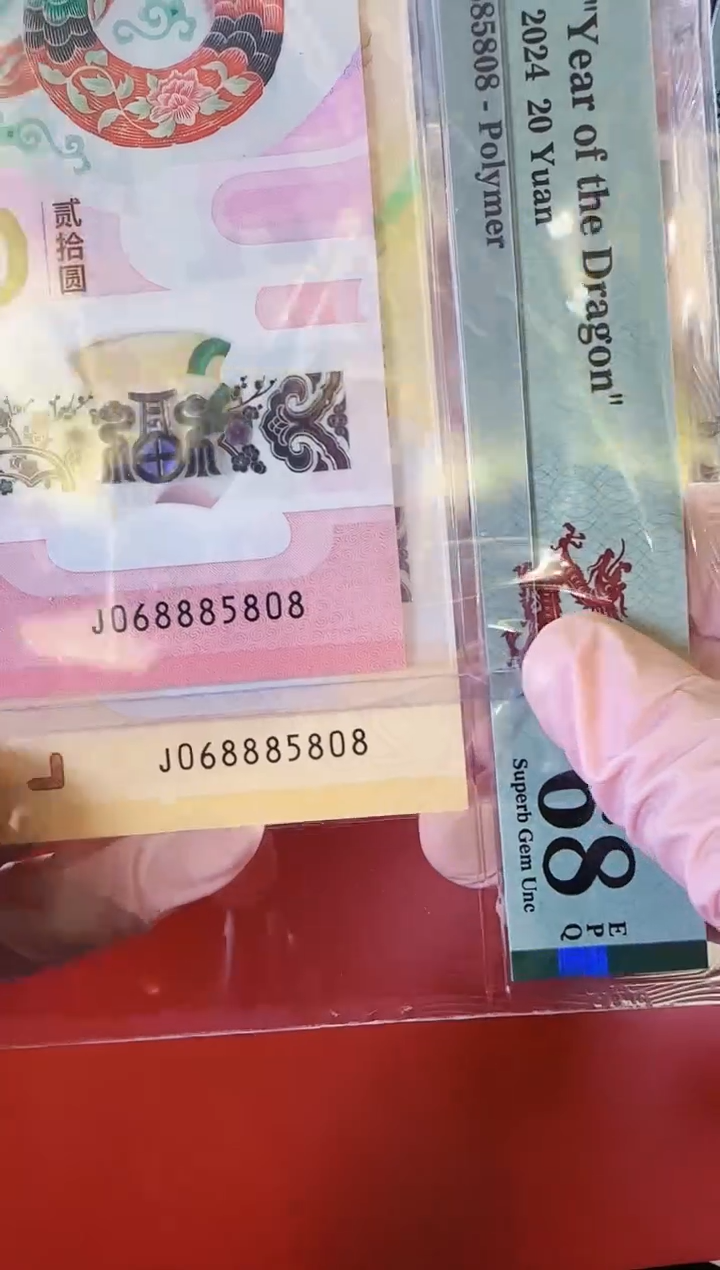 【闪购商品】塑料2025蛇钞全同号啊啊啊啊啊啊