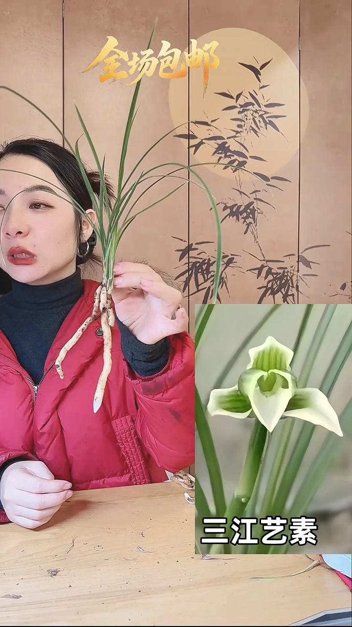 当前无花栽培后可以开花：三江艺素