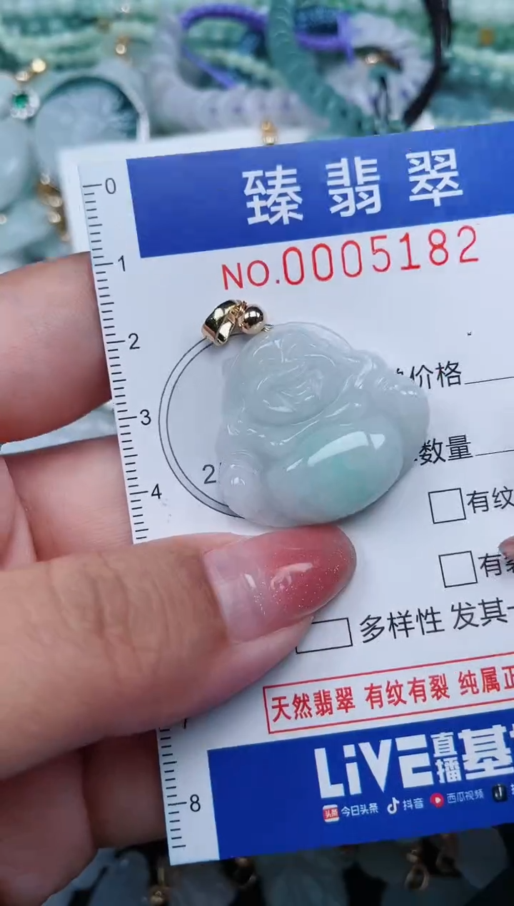 【闪购商品】翡翠颈饰未镶嵌.0005182