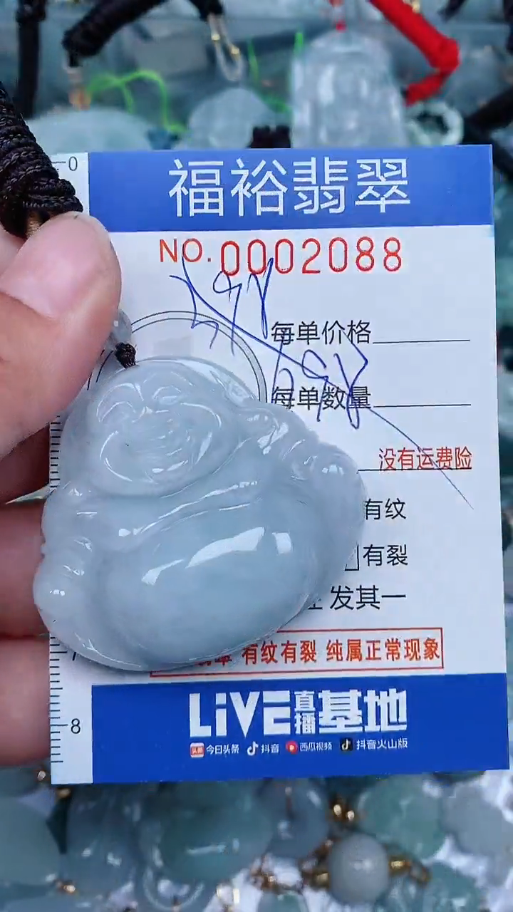 【闪购商品】翡翠颈饰未镶嵌...0002088