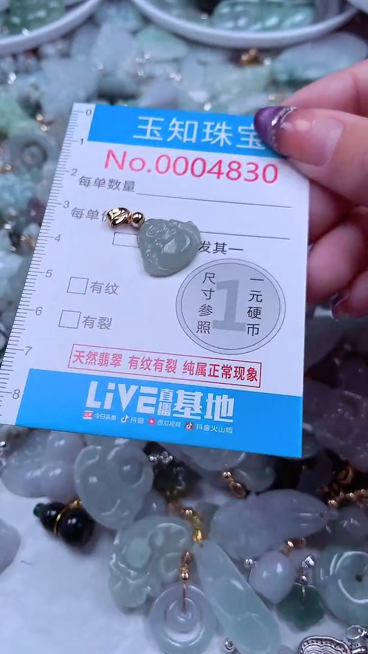 翡翠未镶嵌吊坠(不含链)4830
