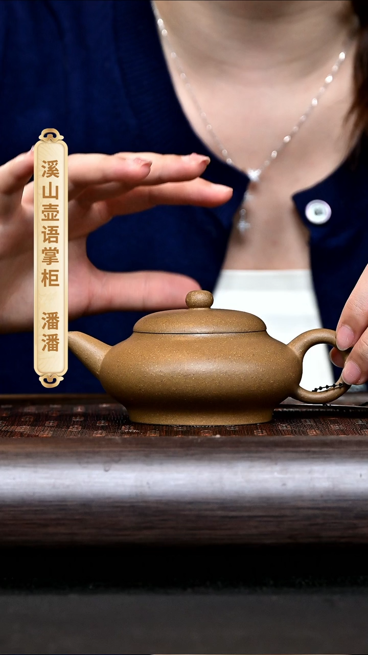 茶壶紫砂XZW16088 大寅春水平 段泥