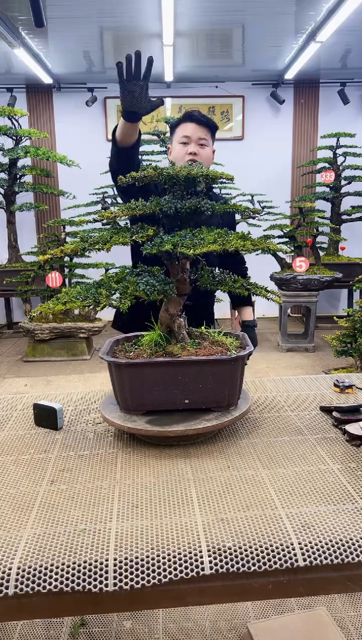 【闪购商品】0000000000