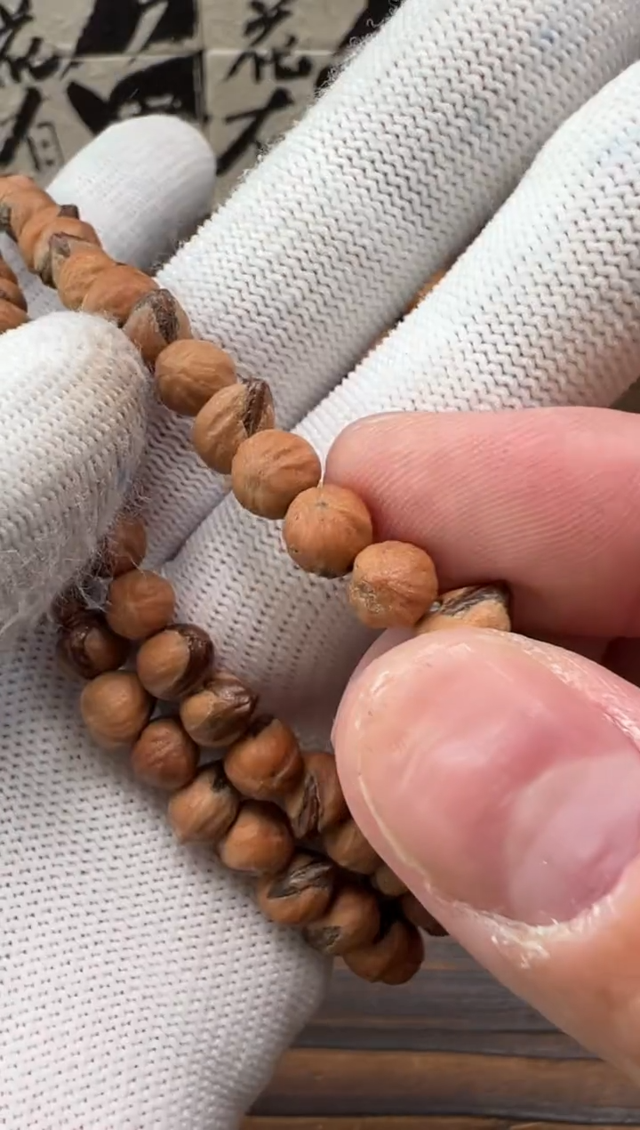 【闪购商品】柏香籽/百香籽吊坠百香籽