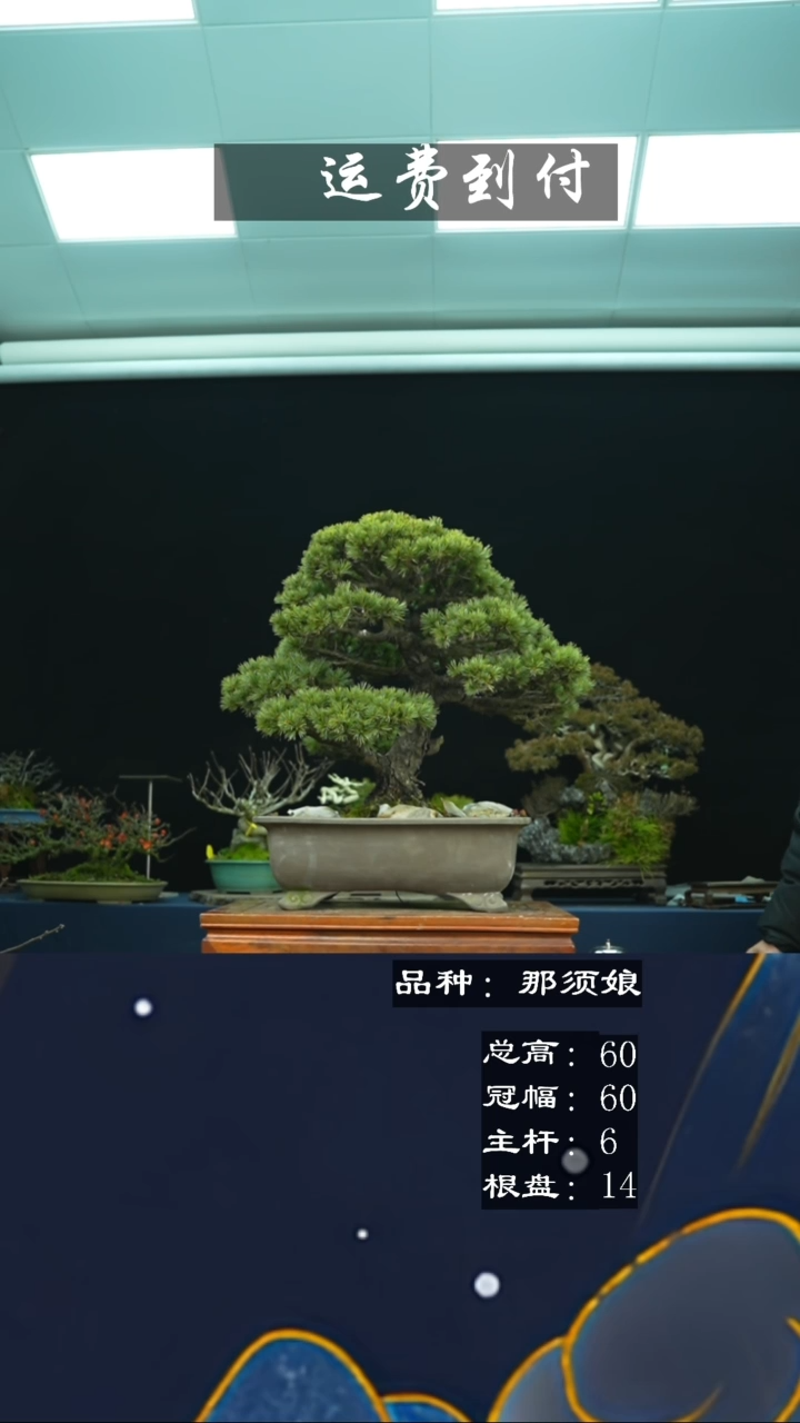 【闪购商品】无铅玻璃034那须娘