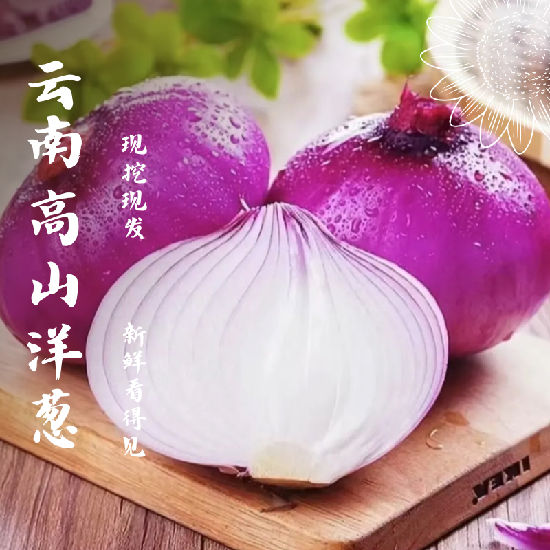 买5斤送5斤高山洋葱可炒菜可生吃脆爽多汁现挖现发zg