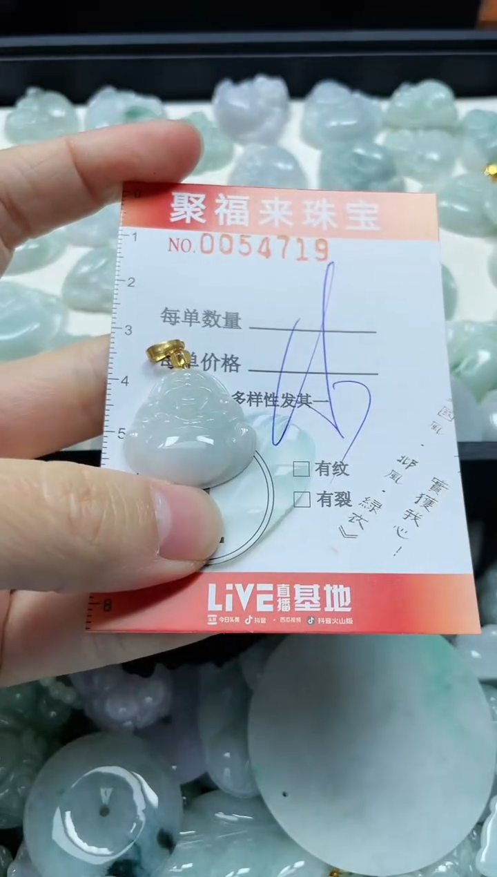 【闪购商品】翡翠颈饰未镶嵌闪购0054719