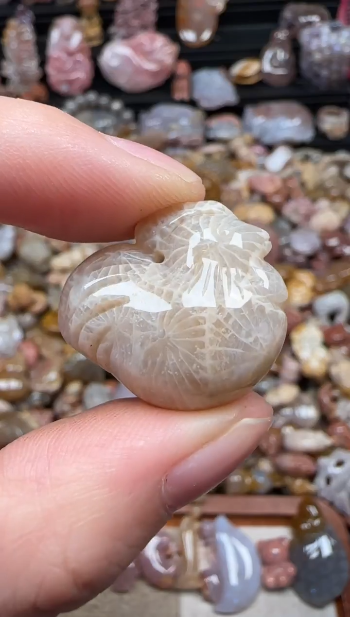 颈饰未镶嵌硅化珊瑚（珊瑚玉）157