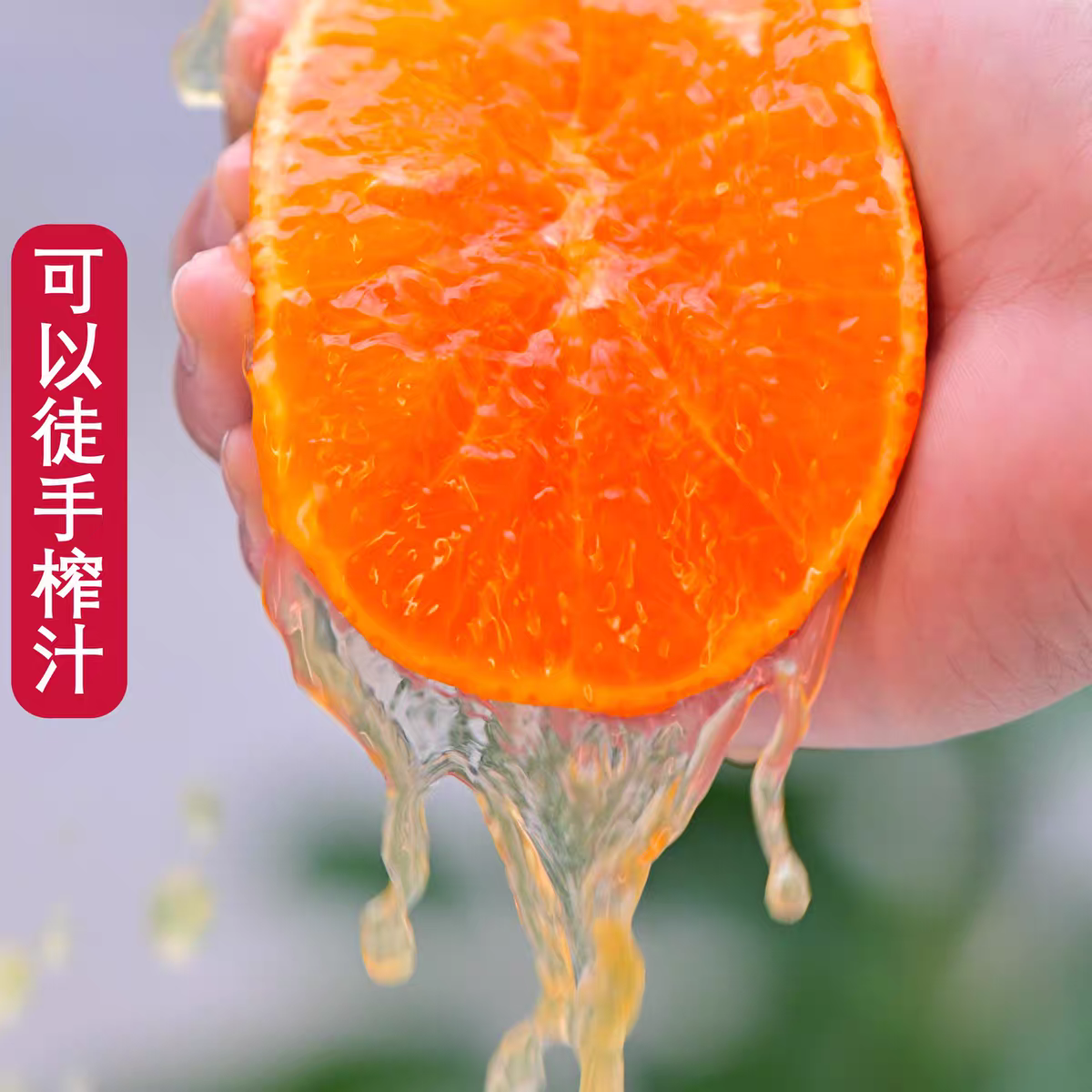 四川红美人柑橘新鲜水果爱媛果冻橙