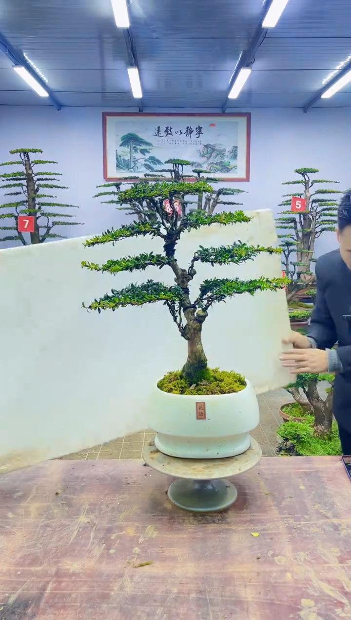 【闪购商品】一物一拍，所见即所得