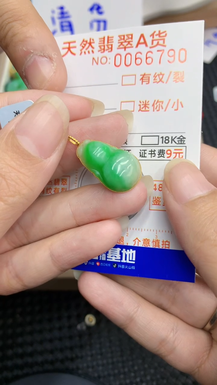 【闪购商品】翡翠颈饰18K金镶嵌            8