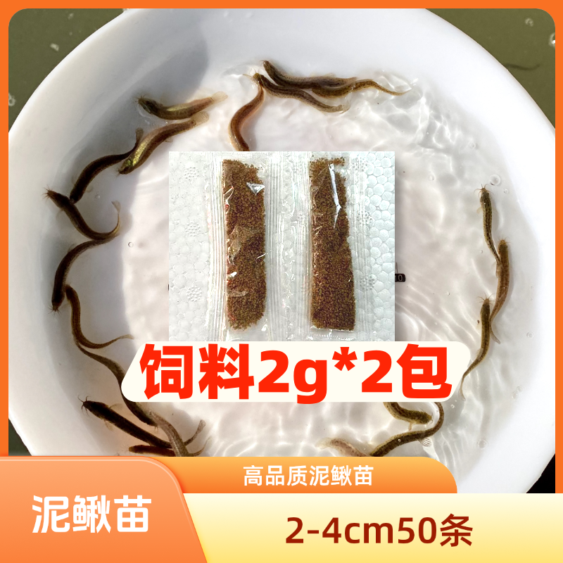 泥鳅饲料2g*2包【福袋不包售后】2-4cm 50只饲料泥鳅喂龟喂鱼