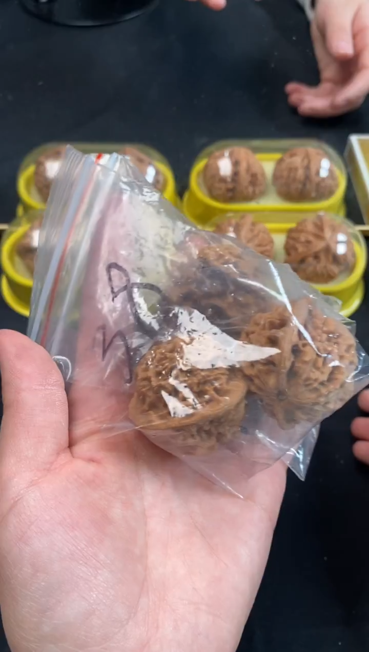 把件文玩核桃秦闷38/39尺随机发