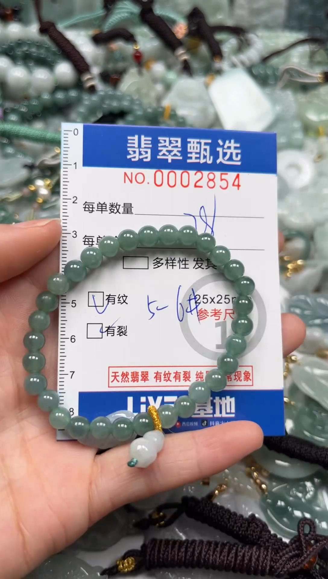 【闪购商品】翡翠颈饰未镶嵌00..2854